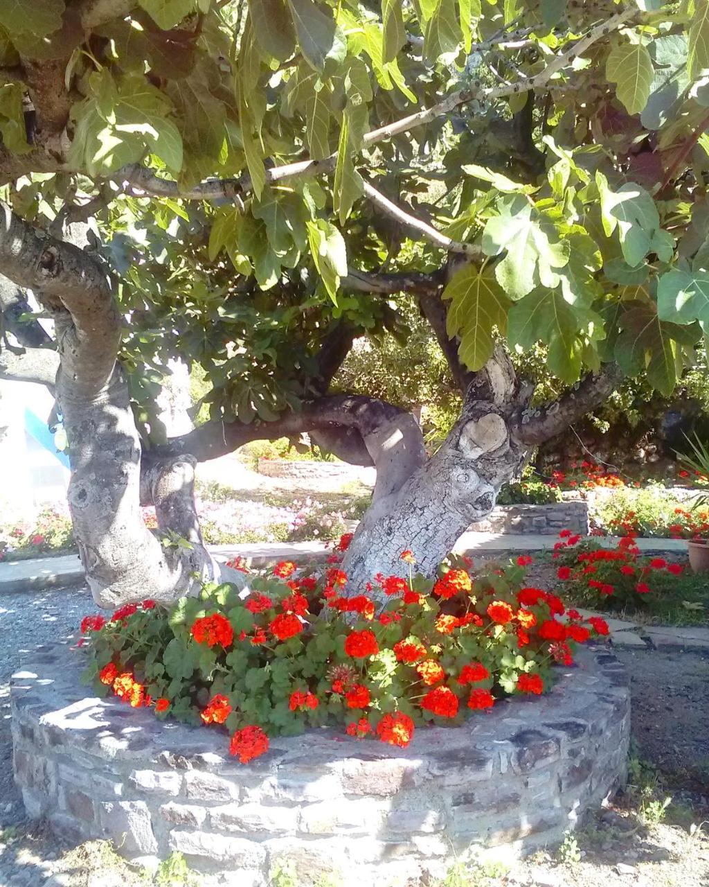 Enalion Apartments Agios Ioannis Kaspaka Zewnętrze zdjęcie